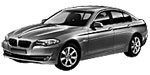 BMW F10 C210D Fault Code
